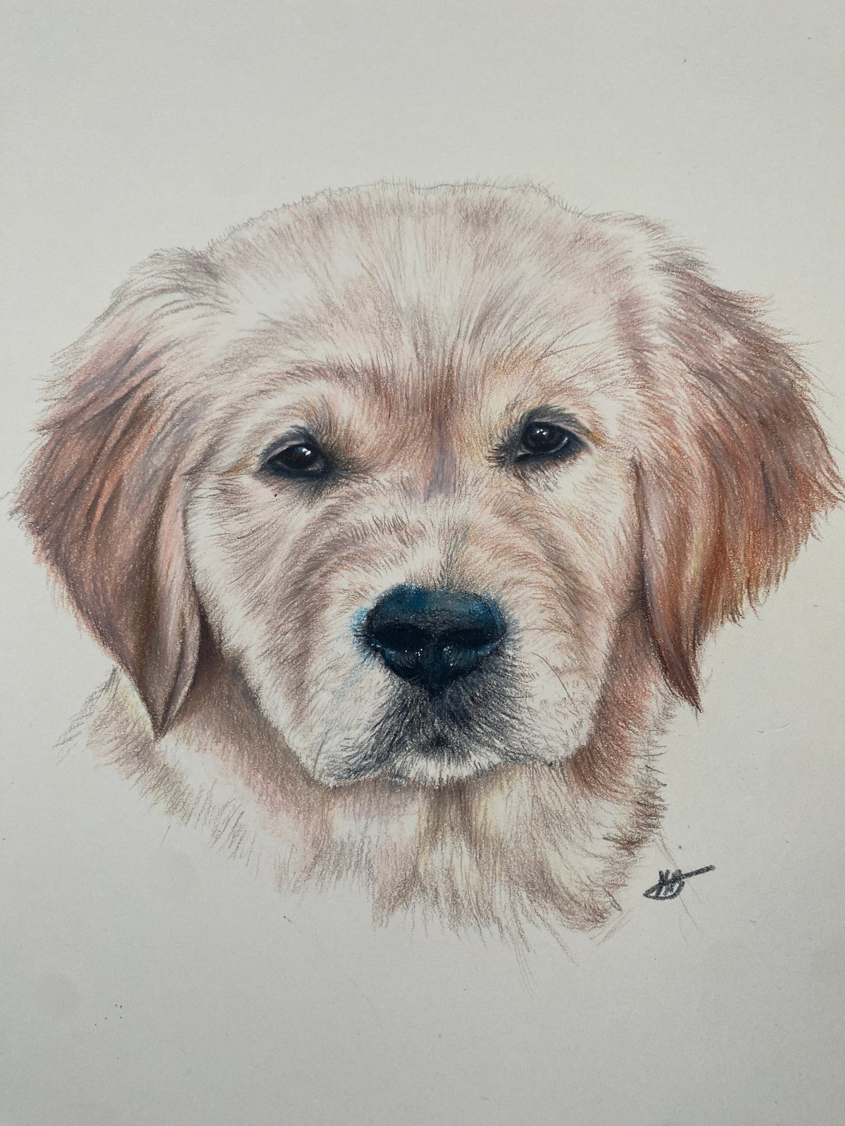 Mini Pet Portrait