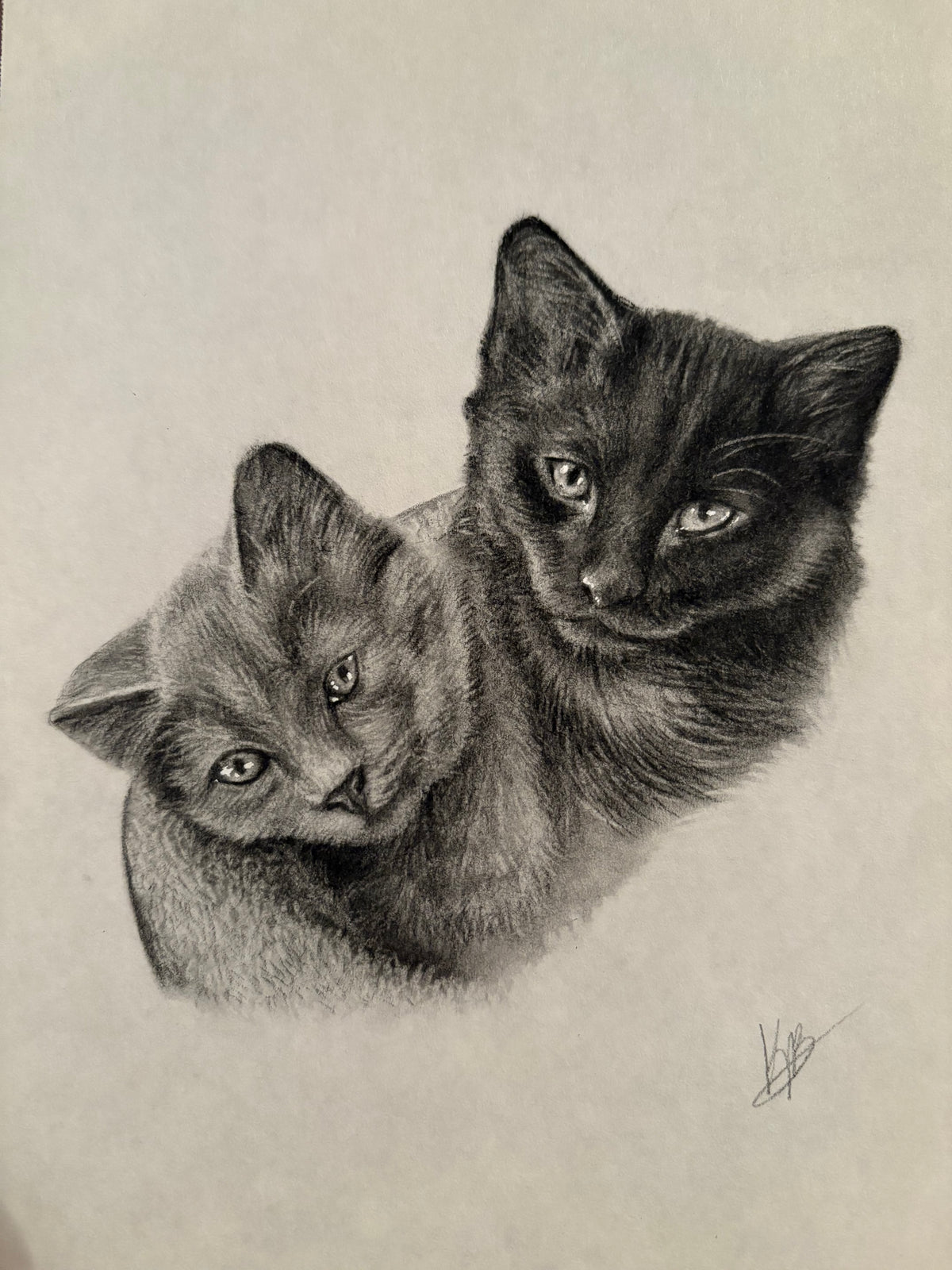 Mini Pet Portrait
