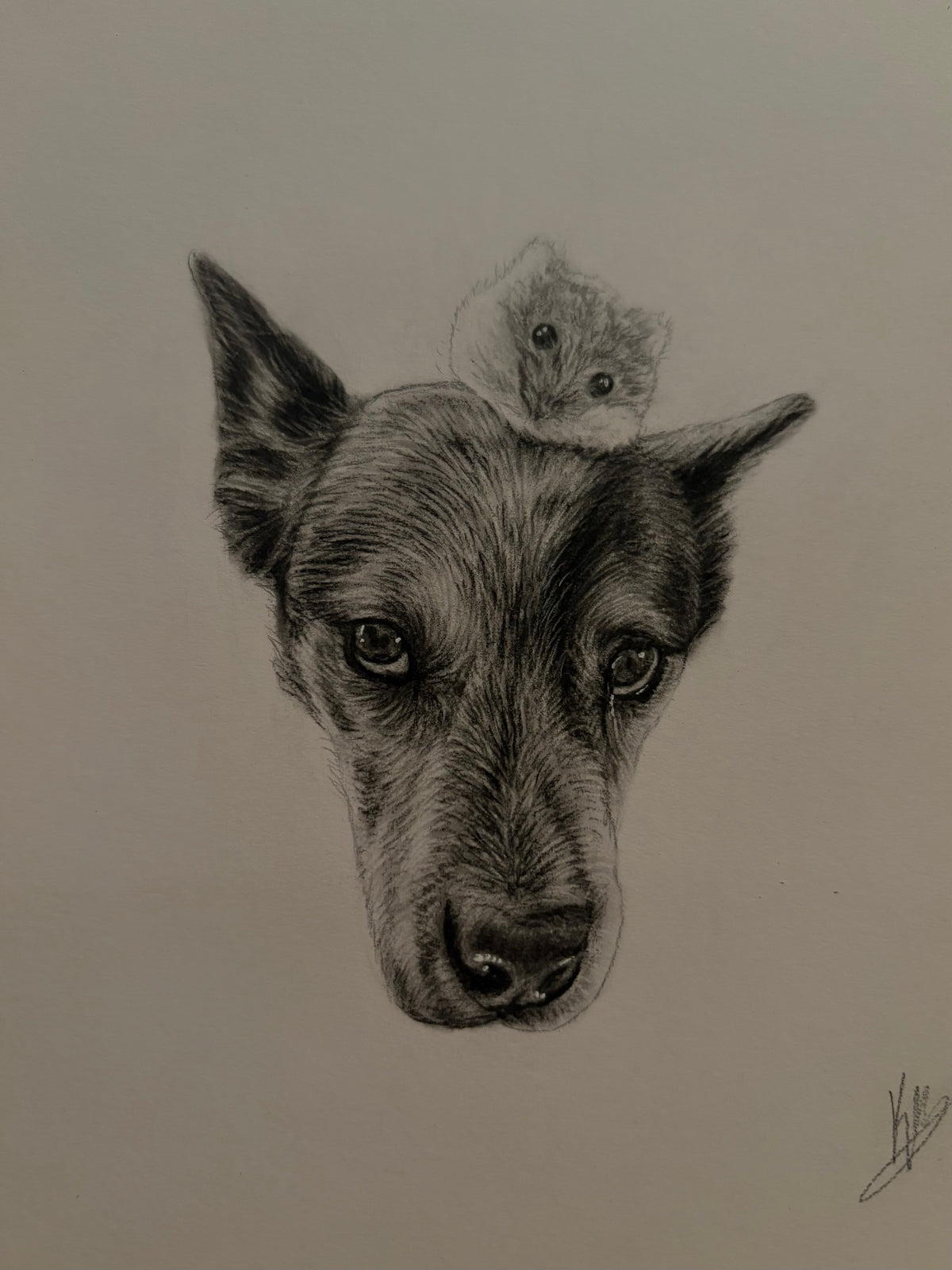Mini Pet Portrait