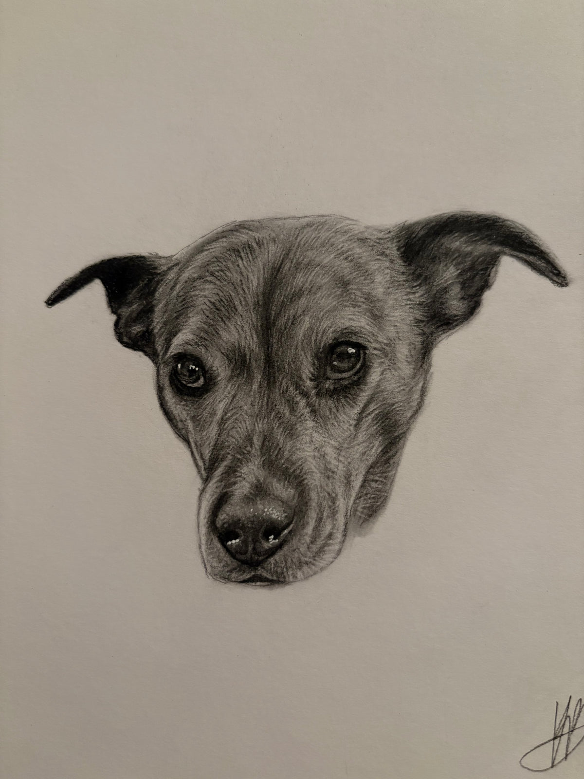 Mini Pet Portrait