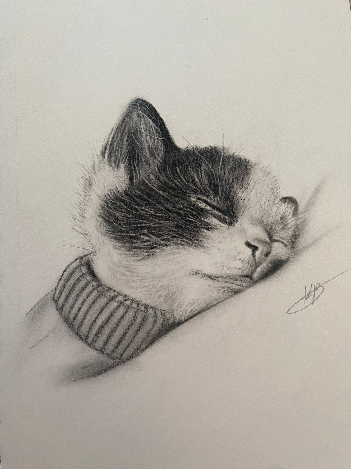 Mini Pet Portrait