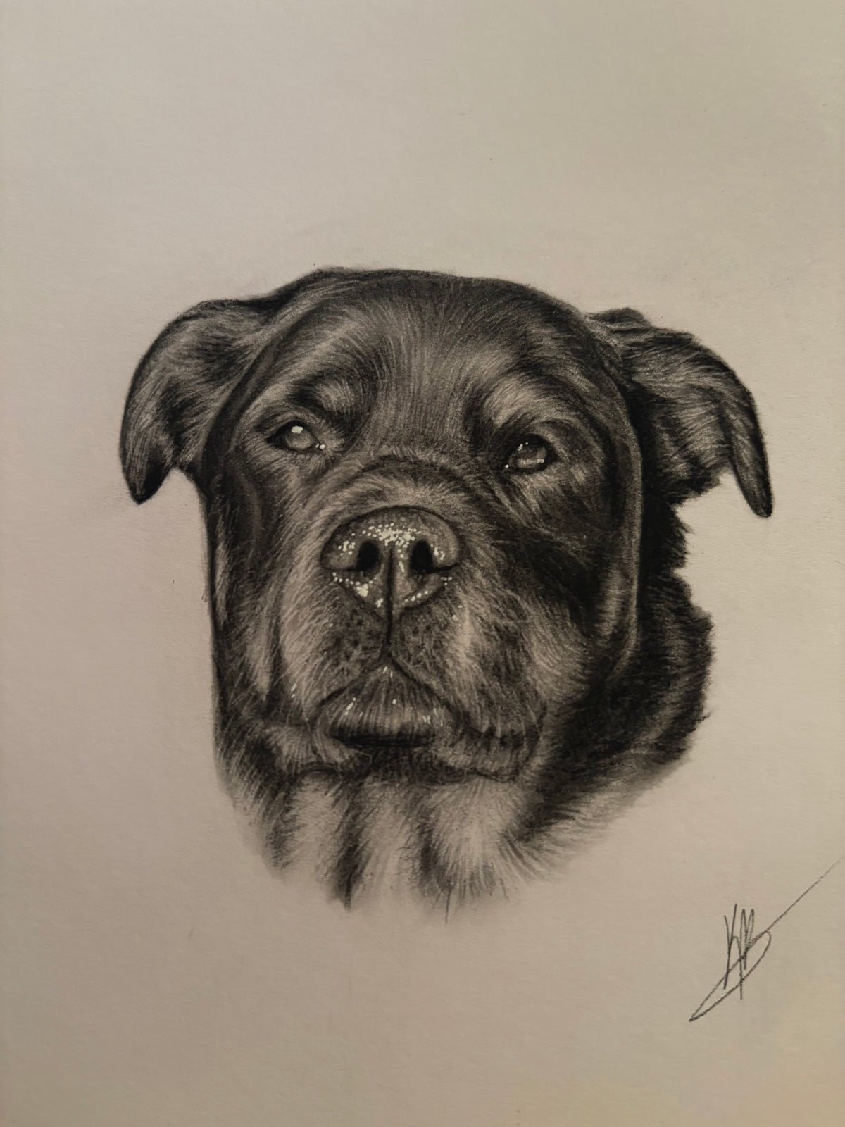 Mini Pet Portrait