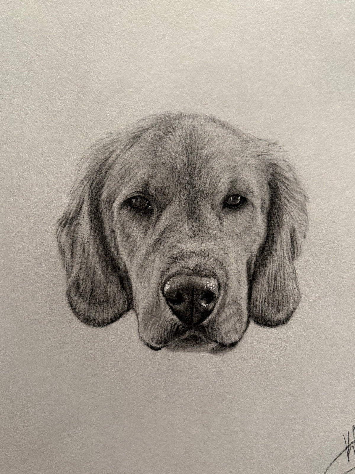 Mini Pet Portrait