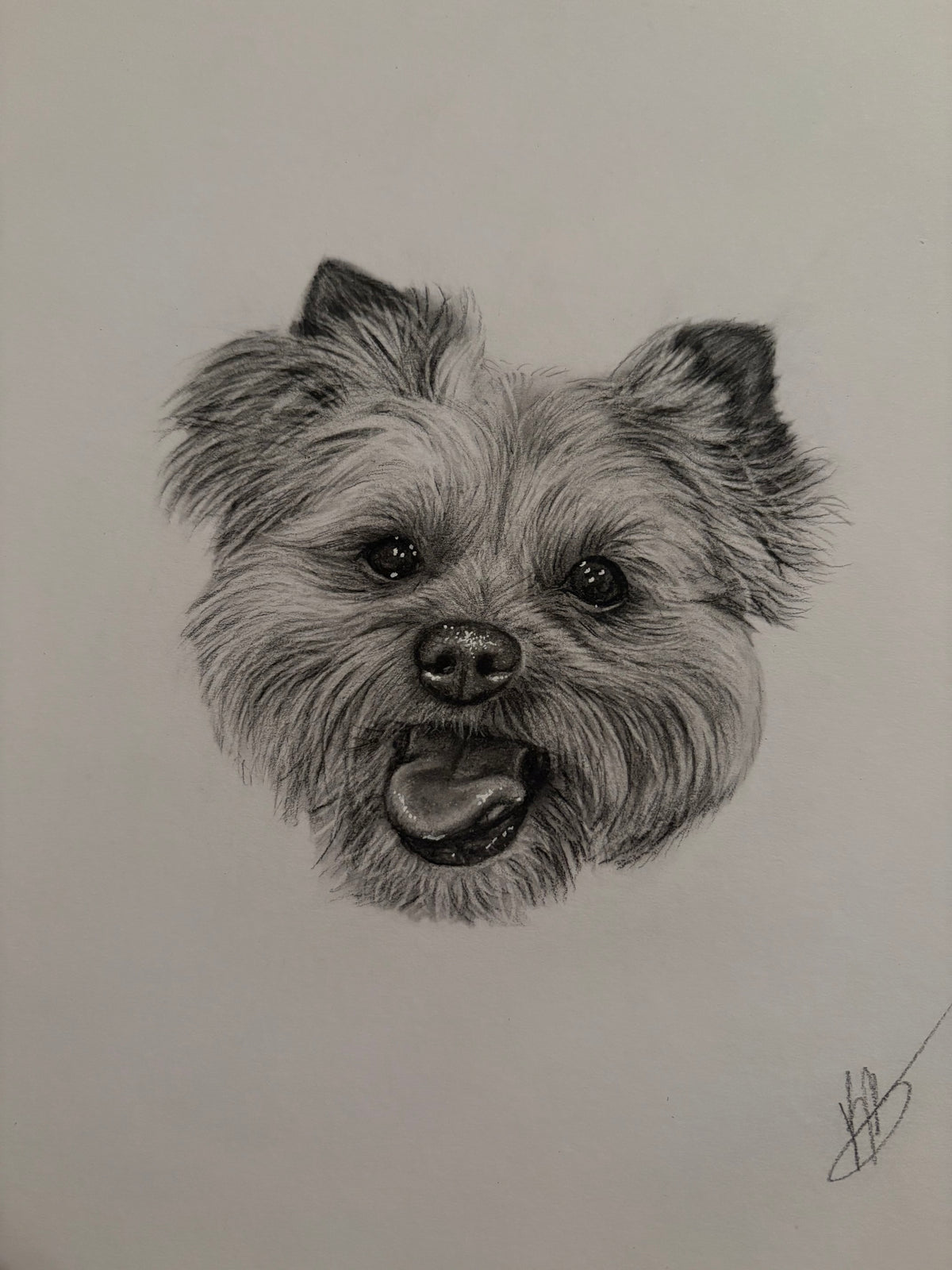 Mini Pet Portrait