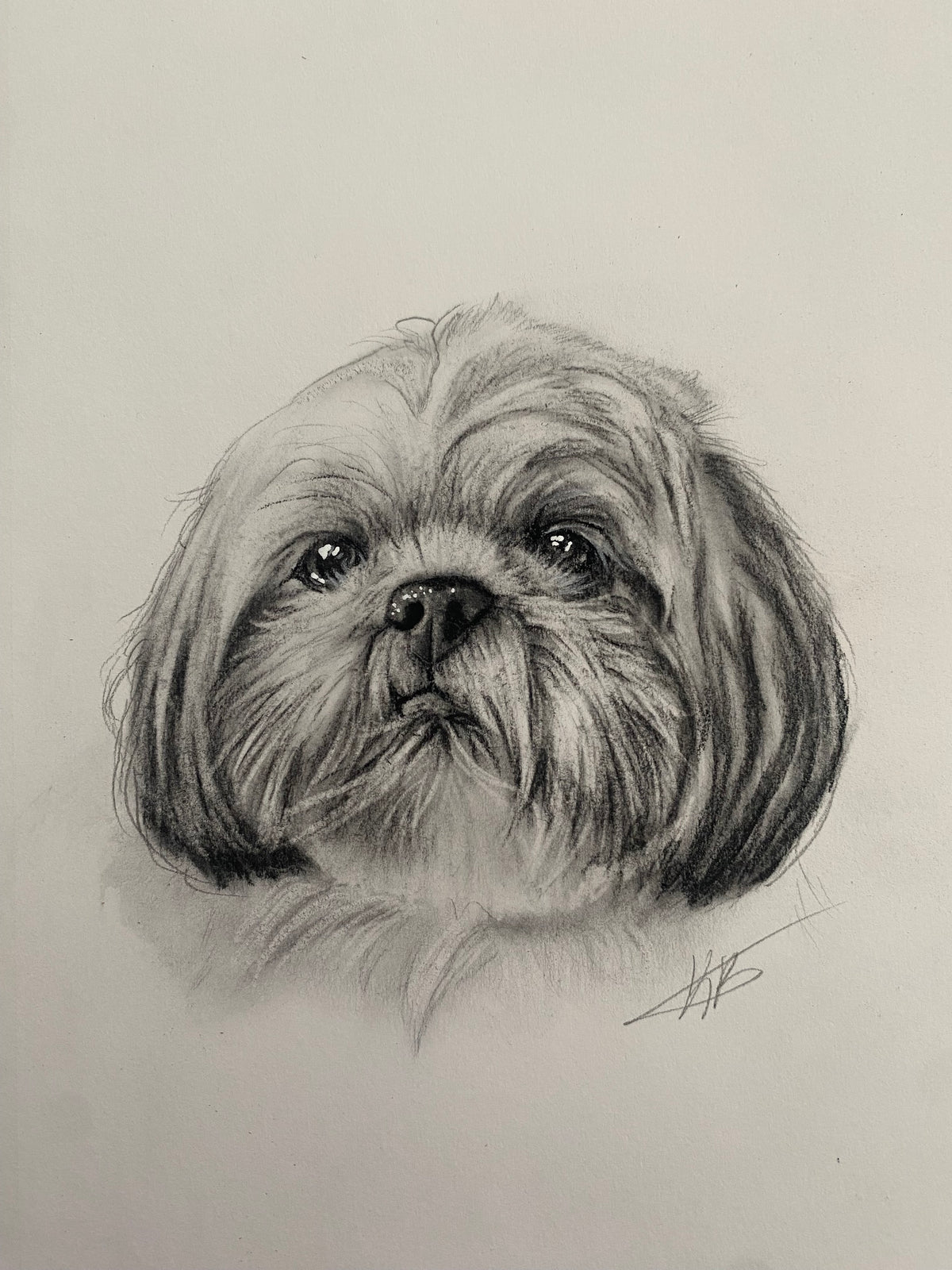 Mini Pet Portrait